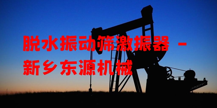 脫水振動篩激振器 - 新鄉(xiāng)東源機(jī)械
